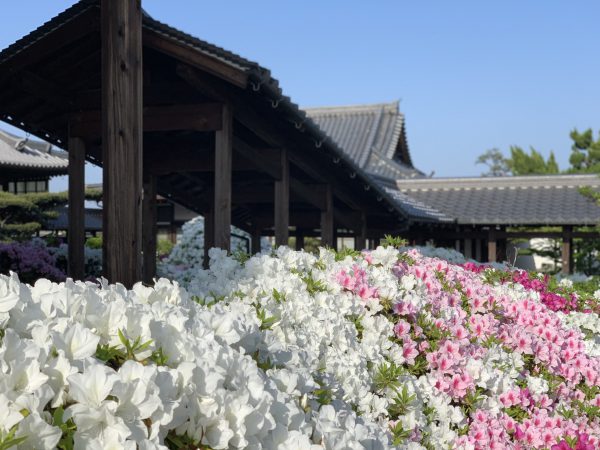 新元号”令和”と初めましてのごあいさつ