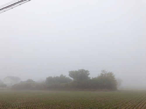 ランチミーティング