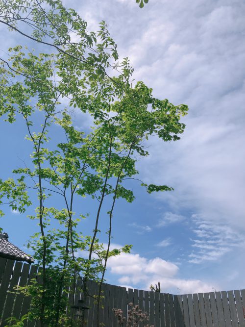 ecoおそうじ術～その②基本編