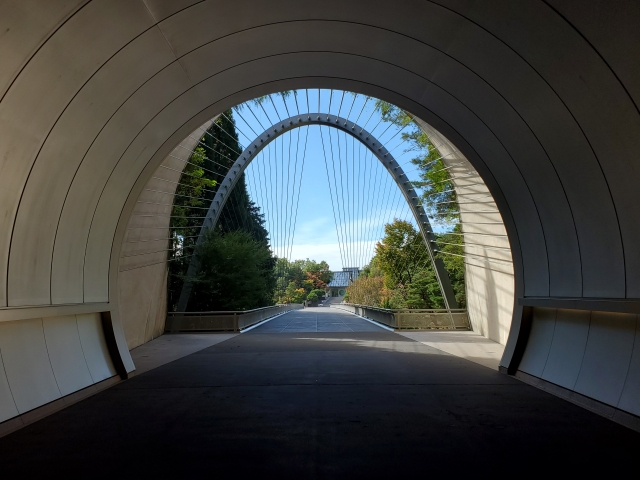 春に行きたい美しすぎる美術館