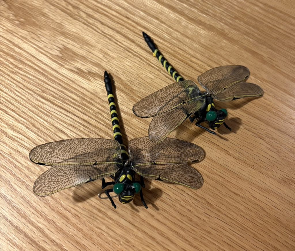 我が家のオニヤンマ、ついに本業へ